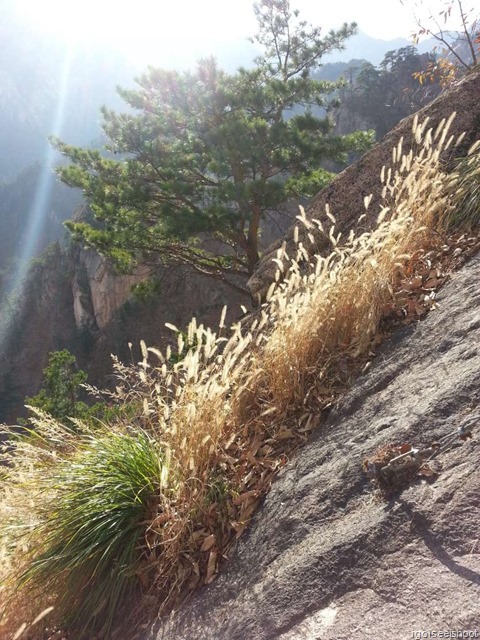 From Biseondae Rock to Geumganggul Cave