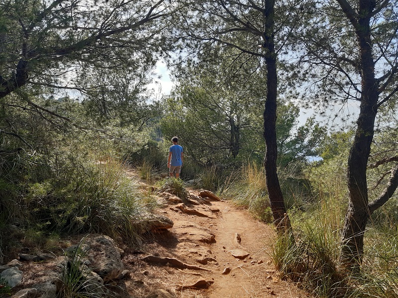 Camminare a Maiorca