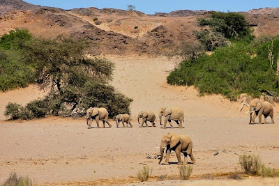 Hoanib Skeleton Coast Camp Namibia