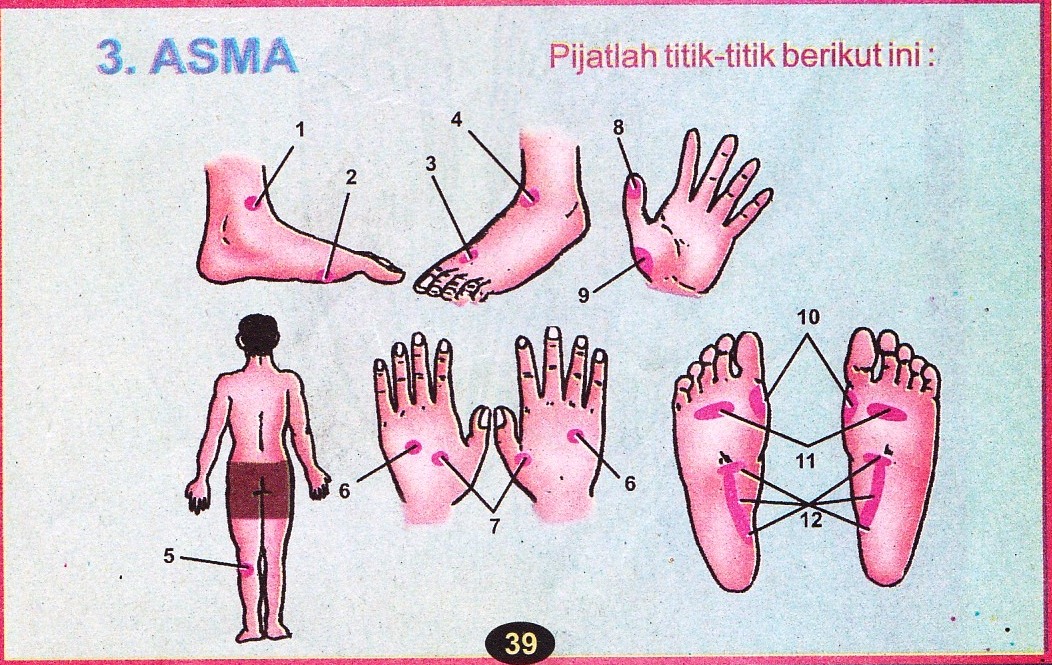 Pijat Refleksi Asma  indomangga.web.id