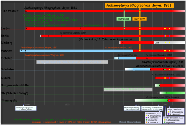 480px-Archaeopteryx_timeline_svg