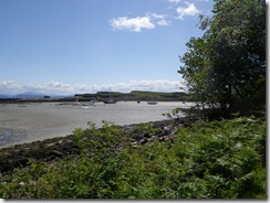 IMGP1823 IMGP1823