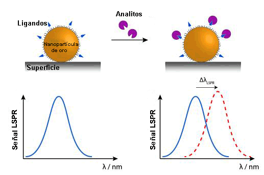 Variación en la longitud de onda (Δλ) de nanopartículas al producirse LSPR