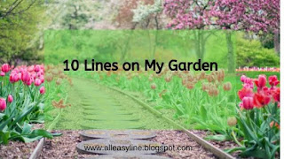 10 lines on my garden in English