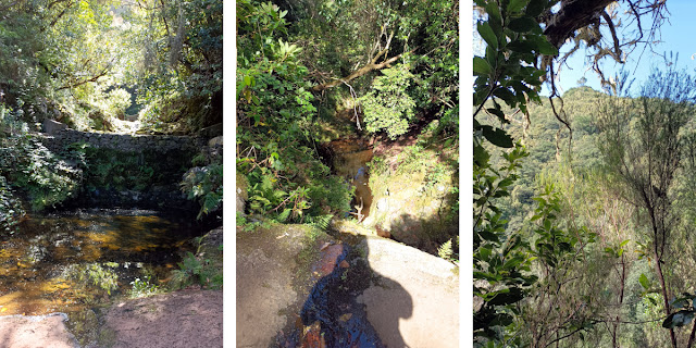 Views from Levada do Furado