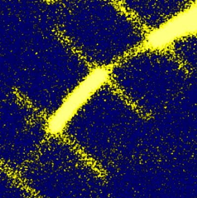 silicon nanowire