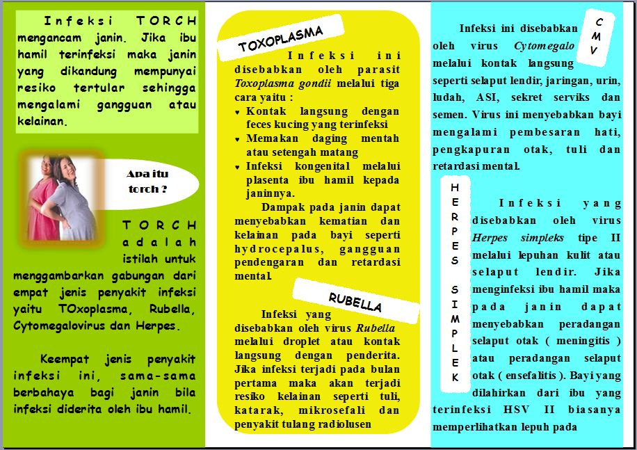 Healty green: Leaflet kehamilan tugas Kie