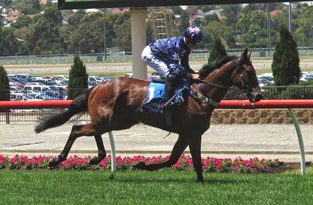 race3_zahspeed
