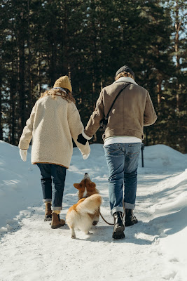 Image of couple strolling in snow with waterproof hiking boots and a dog