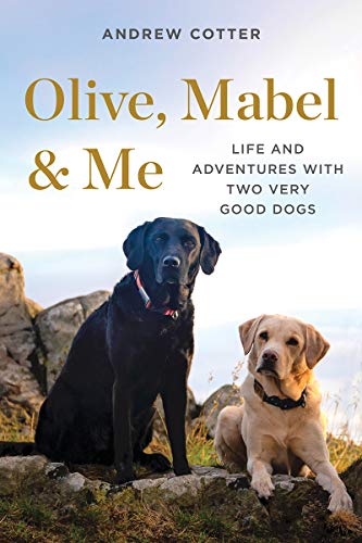 Olive, Mabel & Me, a book by Andrew Cotter