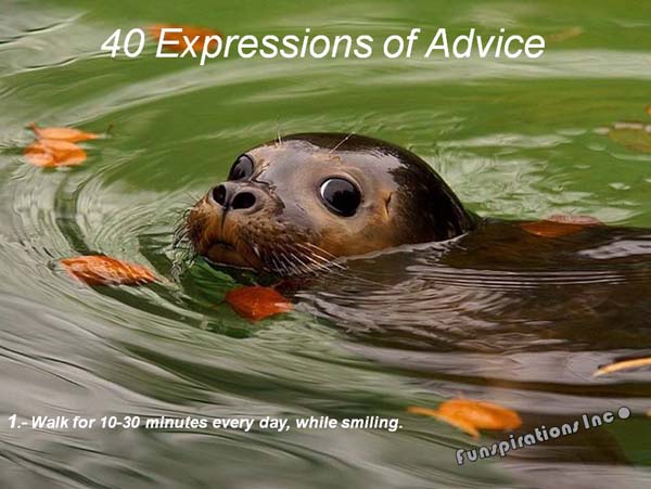 40 Expressions of Advice :- Walk for 10-30 minutes everyday, while smiling.