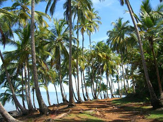 french guiana