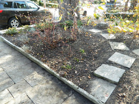 Toronto Greektown on the Danforth Fall Front Garden Cleanup after by Paul Jung Gardening Services