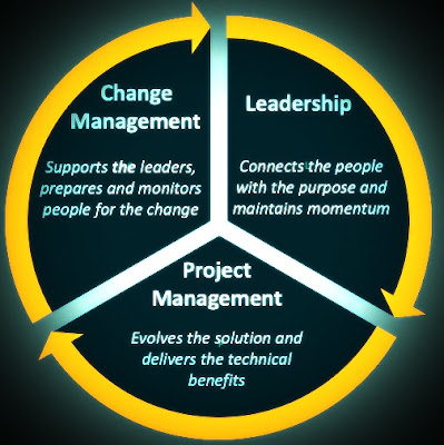 Processes Of Risk Management