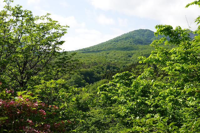 鳥取県西伯郡大山町豊房　香取の山道からの眺め　野田ヶ山