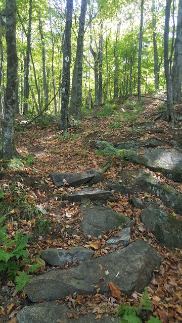 Sentier en direction du Nez de l'Indien