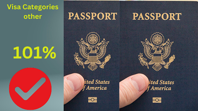 Visa Categories other