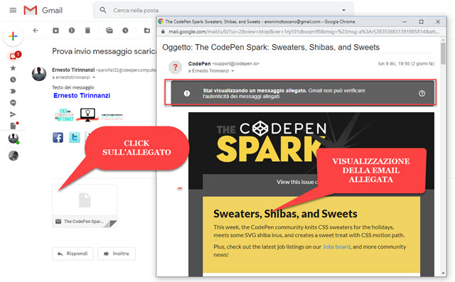visualizzazione-email-allegata