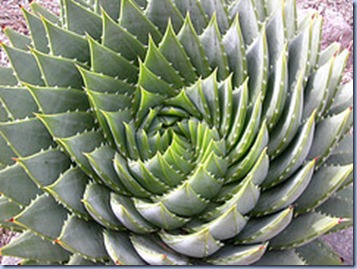 spirale