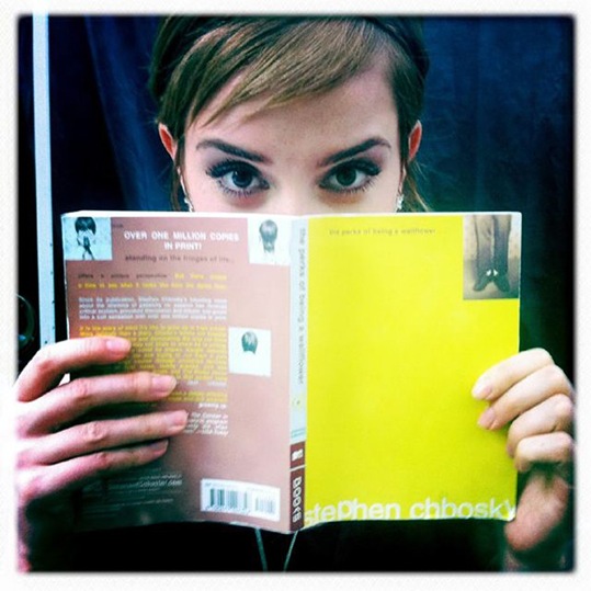 emma_wallflowers_set