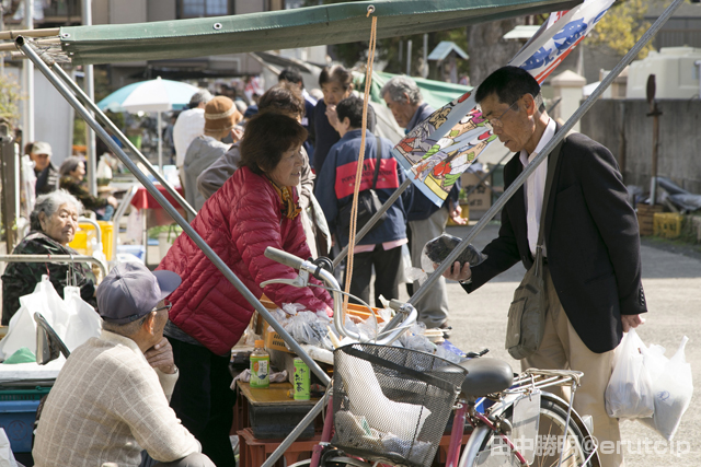 勝浦の朝市