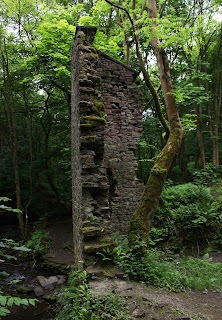 <img src="Black Pits Mill.jpeg" alt=" images of  mill ruins">