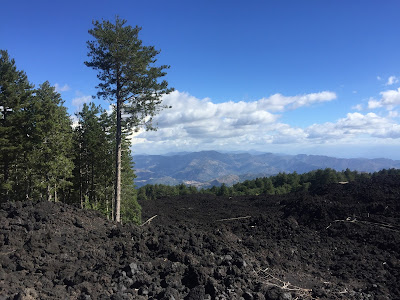 Stands of forest give way to lava flows that laid waste to all that was there.