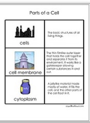 partsofacellflashcards