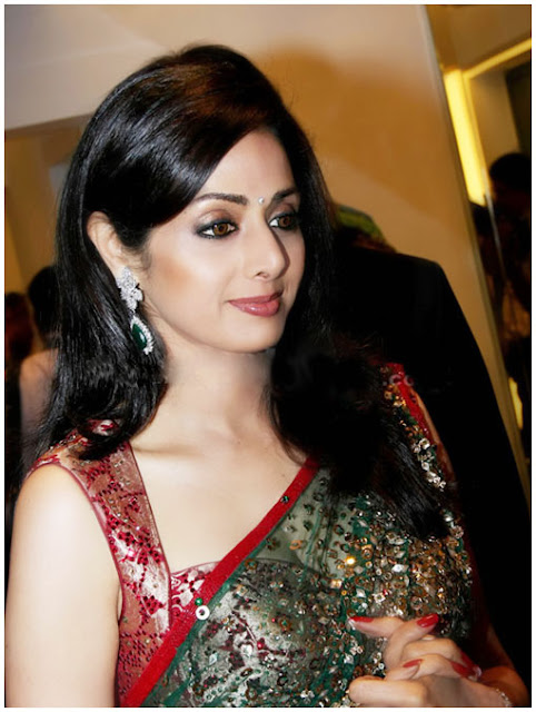 Actress Sridevi Hot Saree Photos