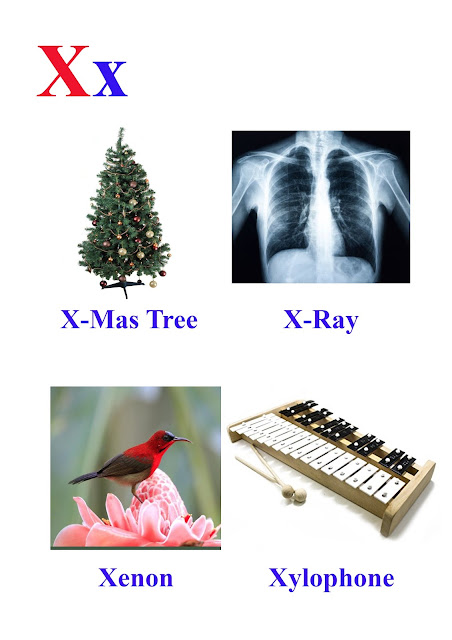 X letter words - kids-easy-learn