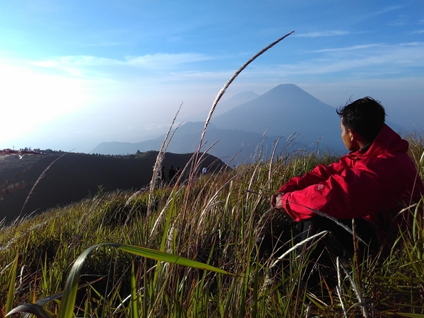 7 alasan gunung prau jawa tengah cocok untuk pendaki pemula