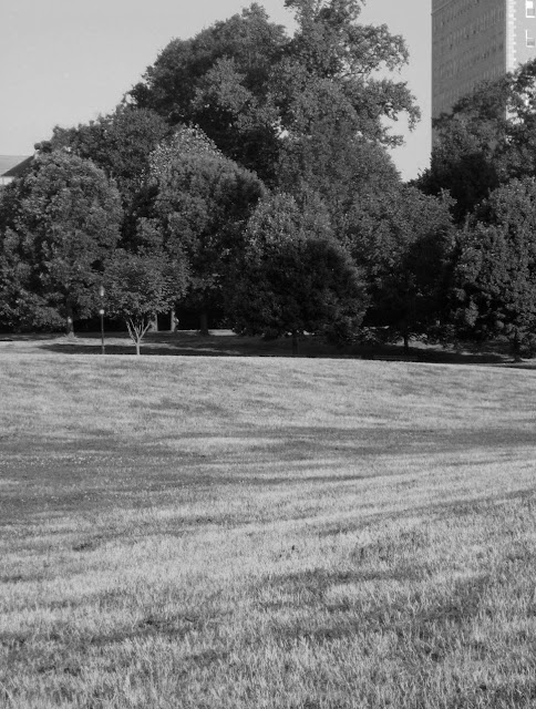 Black and white pic of Prospect Park Brooklyn