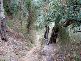 Senderismo Alfondeguilla - Castillo de Castro - Nevera - Bco Alfondegiulla