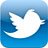 Twitter Ipad