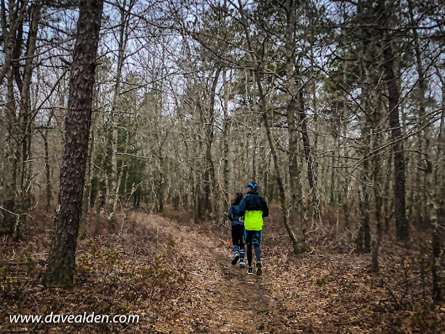 cape cod trail race half marathon racer-x david alden