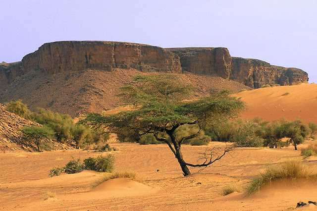 Pegunungan di wilayah Adrar.