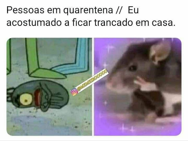 Memes engraçados 