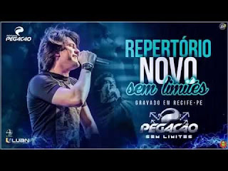 PEDRINHO PEGAÇÃO - PEGAÇÃO SEM LIMITES - REP. NOVO - RECIFE-PE - 07.11.2015