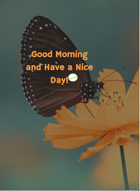 This image is all about good morning yellow flowers,good morning birds images hd
