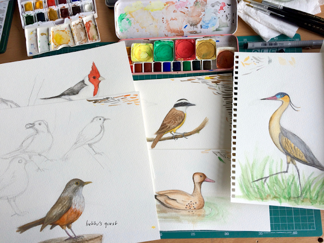 Native birds watercolor process by betitu