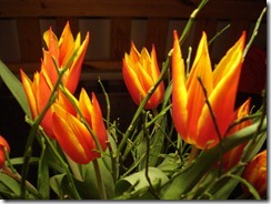 7 jan 053