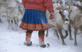 Hearthside Blog, Sami, Reindeer Herding, Northern European Forest Commons