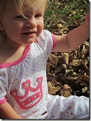 leaves 18mo 024