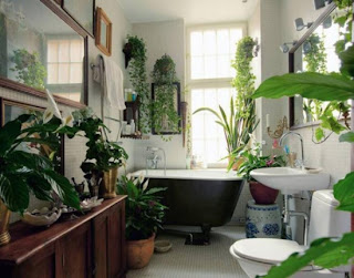 An ordinary bathroom is transformed into a beautiful oasis through an abundance of house plants