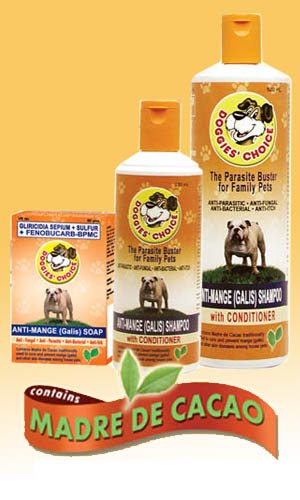 Dog Shampoo for Dogs With Itchy Skin