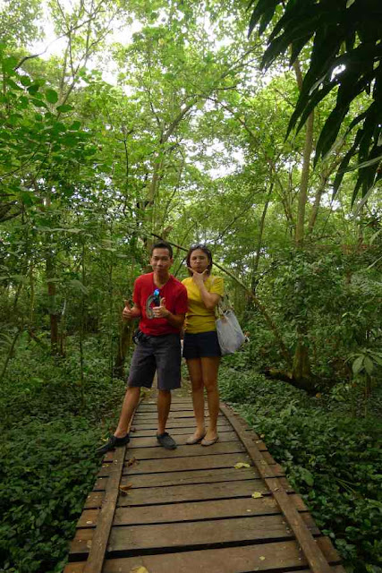 Palawan Crocodile Farm