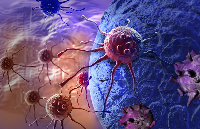 https://www.coherentmarketinsights.com/market-insight/cancer-biologics-market-4145