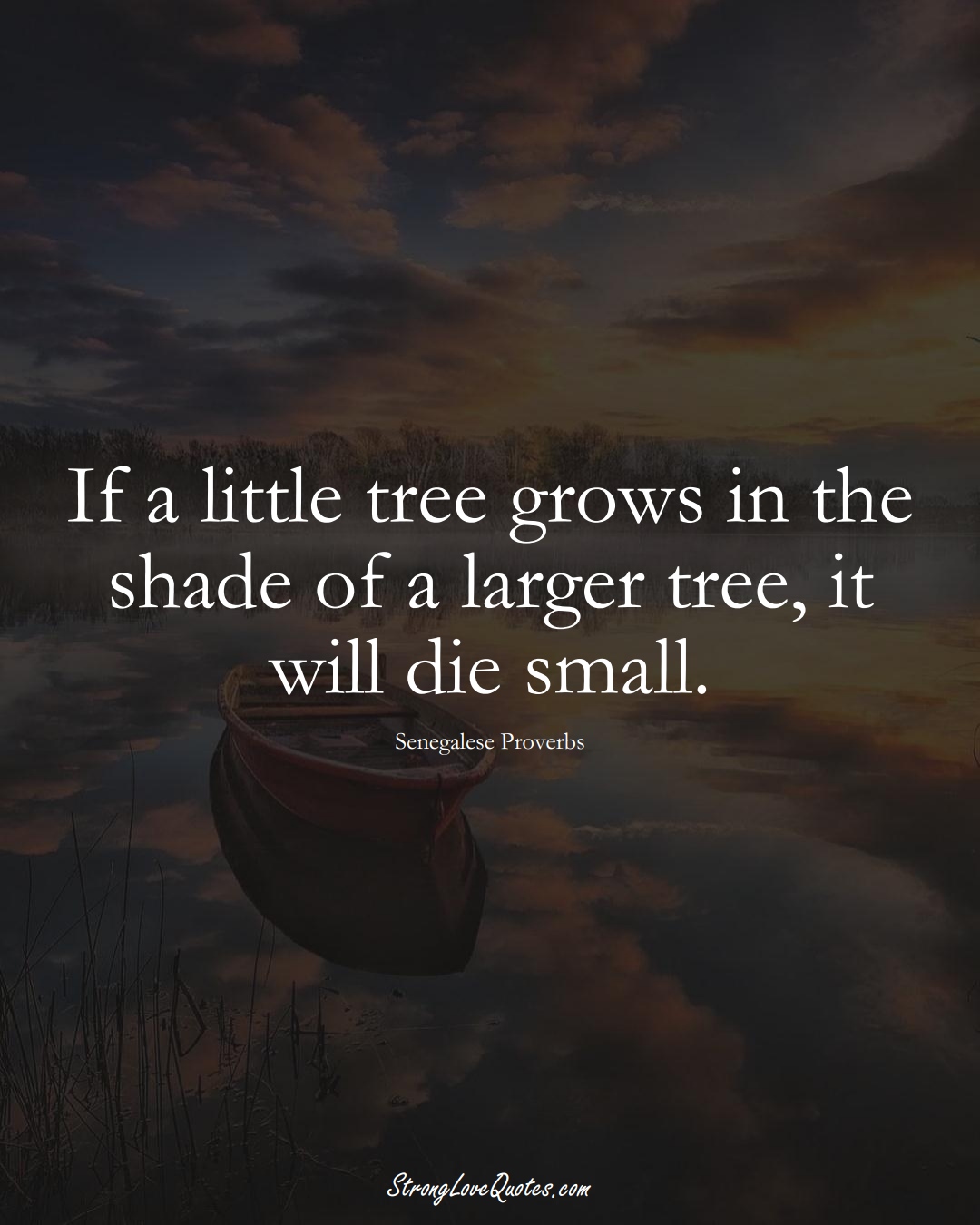 If a little tree grows in the shade of a larger tree, it will die small. (Senegalese Sayings);  #AfricanSayings