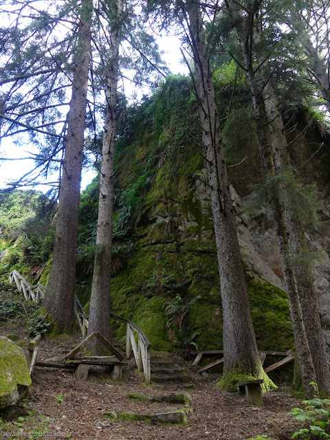 06: wooden steps at the side of a green covered rock