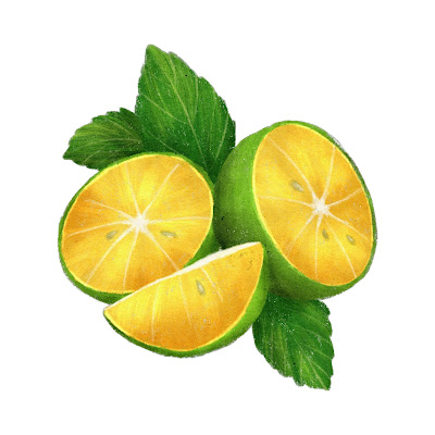 200 + Cartoon Images of Lemon fruit